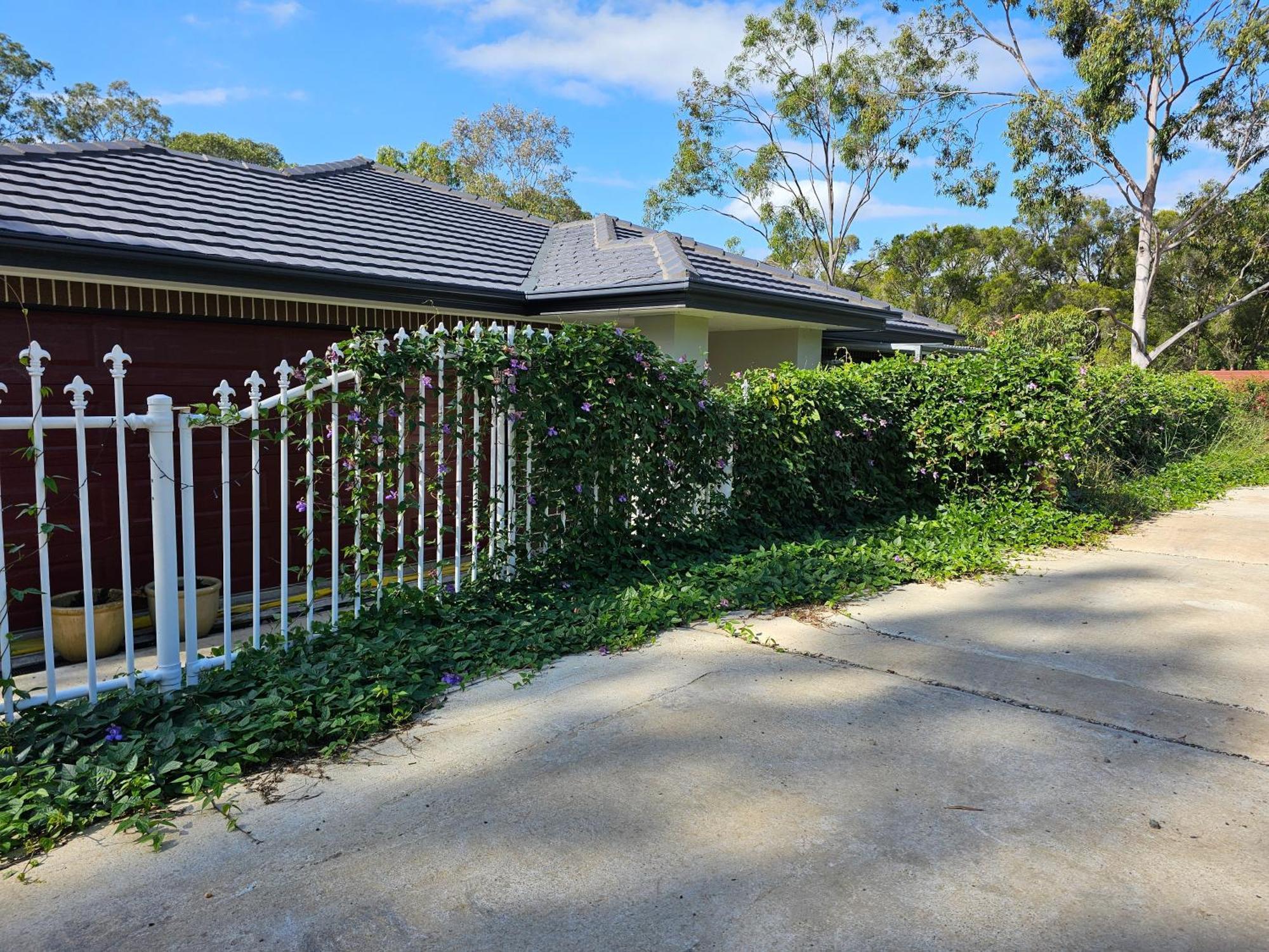 Gowrie Agapanthus Apartment Singleton Exterior photo